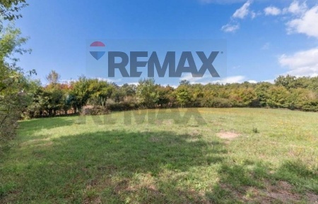 Foto Terreno residenziale in Località San Pietro snc, Ischia di Castro