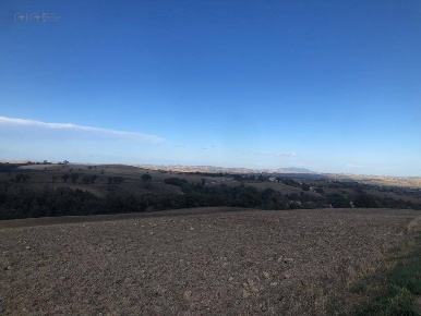 Foto Terreno agricolo in C.da Santo Stefano, Treia in vendita