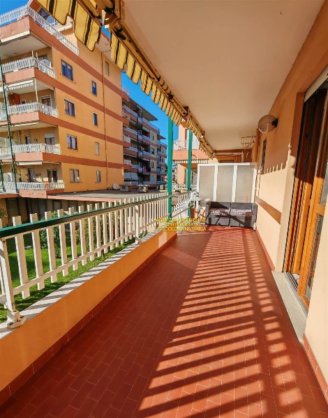 immagine annuncio 6 di 14