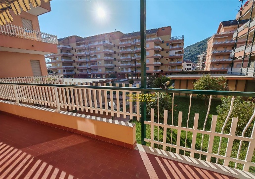 immagine annuncio 7 di 14