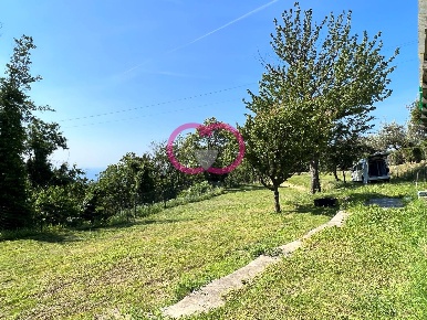 Foto Terreno agricolo in Via ceresa, Varazze Alpicella di 1478 m²