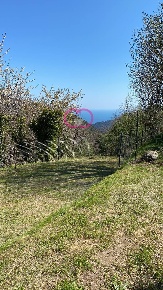 Foto Terreno agricolo in Via ceresa, Varazze Alpicella di 1478 m²