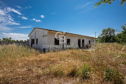Foto Villa unifamiliare in Località Campomorto, Montalto di Castro di 50 m²