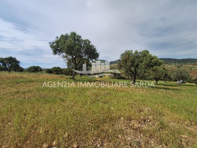 Foto Terreno edificabile a Alghero Maria Pia, Fertilia in vendita