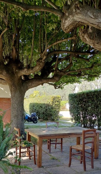 immagine annuncio 1 di 7