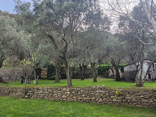 immagine annuncio 3 di 7