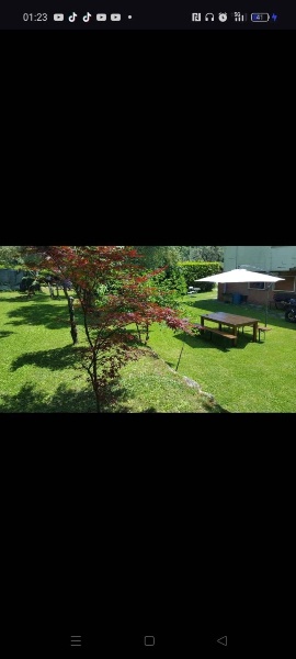 immagine annuncio 4 di 7