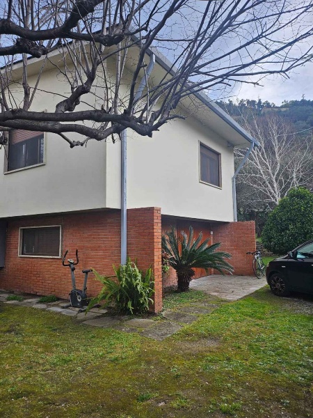 immagine annuncio 5 di 7