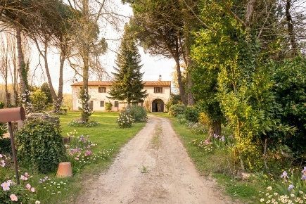 Foto Casale a Fauglia di 150 m² con 6 locali in vendita