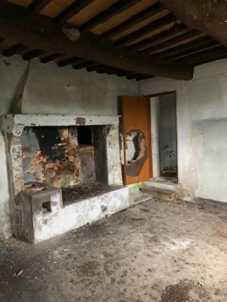 immagine annuncio 1 di 11