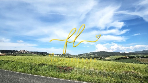 Foto Terreno agricolo a Bibbona Centro di 20000 m² in vendita