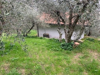 Foto Box a Calci Centro di 38 m² con 1 locali in vendita