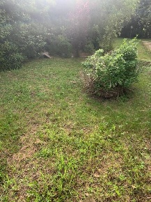 Foto Casa indipendente a Cascina Ripoli - Ansa dell'Arno di 385 m²