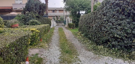 Foto Terreno agricolo a Massa Cinque Vie di 1700 m² in vendita