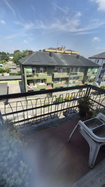 immagine annuncio 12 di 13