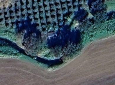 Foto Terreno agricolo in Via della Camminata, Bibbona di 1890 m² in vendita