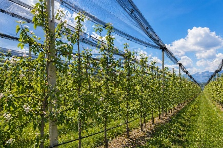 Foto Terreno agricolo a Dro di 25739 m² in vendita