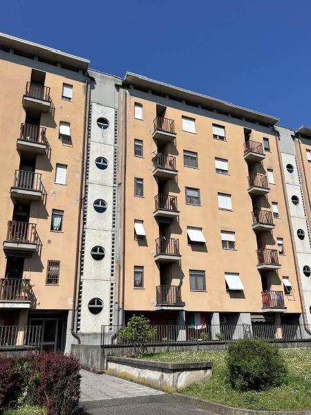 immagine annuncio 6 di 15