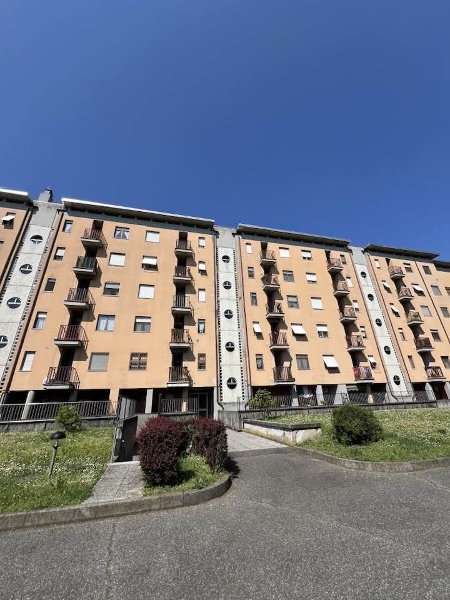 immagine annuncio 10 di 15