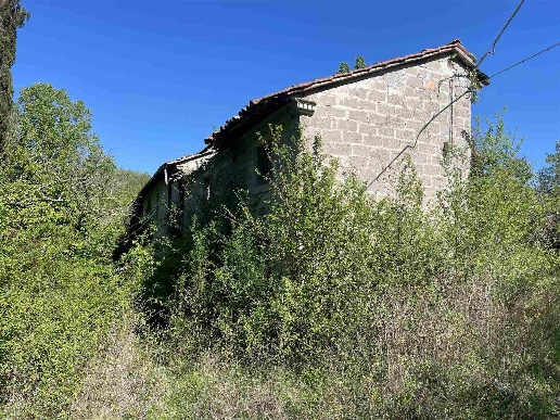 immagine annuncio 4 di 6