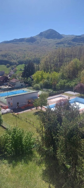immagine annuncio 2 di 12