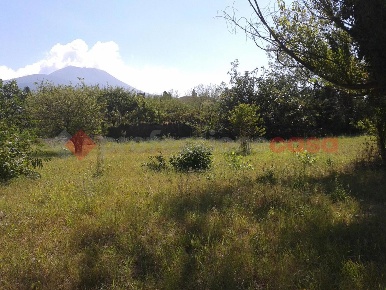Foto Terreno agricolo in Via Picenna 97, San Giorgio a Cremano di 7000 m²