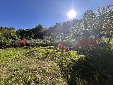 Foto Terreno agricolo in Borgata Giacotti, Cumiana di 1275 m² in vendita