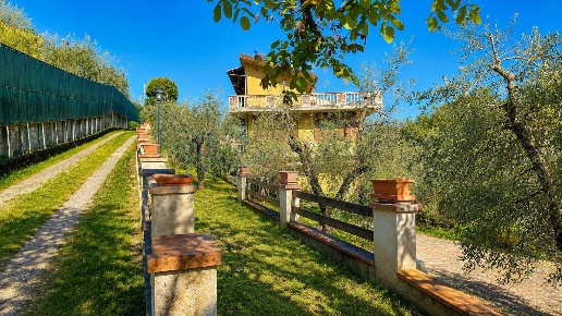 immagine annuncio 9 di 15
