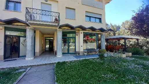 Foto Ufficio in Via Romana  snc, Assisi San Damiano, Rivotorto, Capodacqua