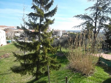 Foto Terreno edificabile in Via Gabriele D'Annunzio, Scerni Centro