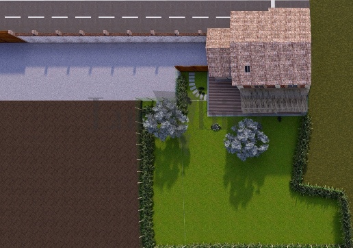 immagine annuncio 4 di 8