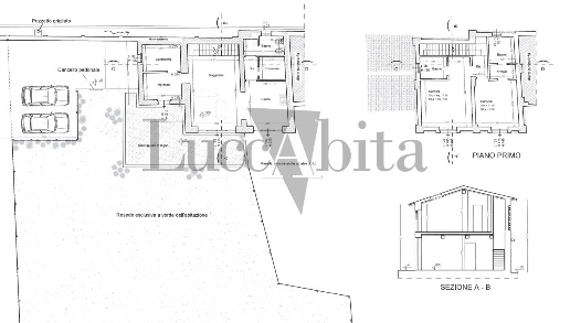 immagine annuncio 7 di 8