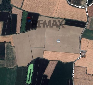 Foto Terreno agricolo in via Ronchi 3, Rivarolo del Re ed Uniti in vendita