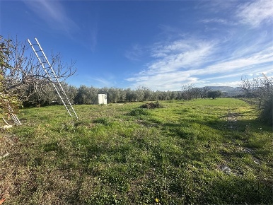 Foto Terreno a Castellalto Castelnuovo Vomano di 10000 m² in vendita