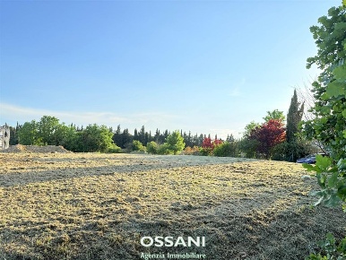 Foto Terreno edificabile in VIA PERGOLA, Faenza di 2943 m² in vendita