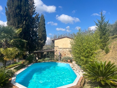 Foto Casale a Palaia Centro di 234 m² con 7 locali in vendita