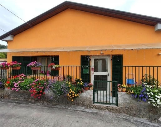 immagine annuncio 8 di 9