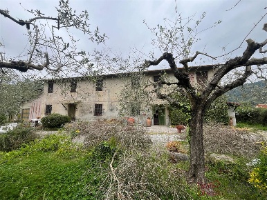 Foto Rustico a Massarosa Piano di Conca di 350 m² con 11 locali in vendita