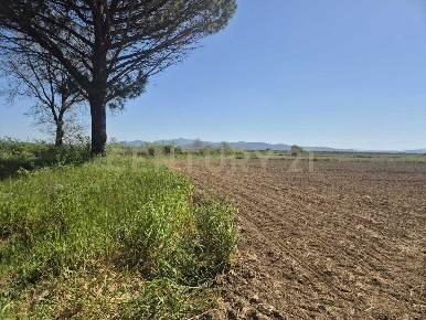 Foto Terreno agricolo in loc. Badia Vecchia, Castiglione della Pescaia