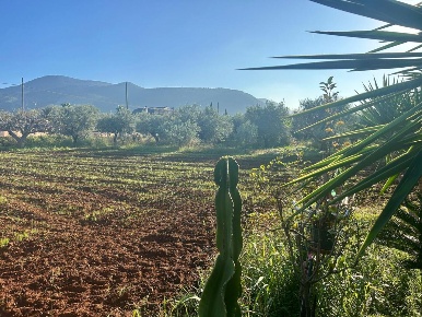 Foto Terreno agricolo a Terracina Casaletti, San Silviano di 5100 m²