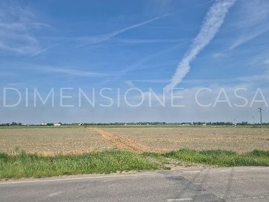 Foto Terreno agricolo in VIA BOSCO, San Felice sul Panaro di 49791 m²