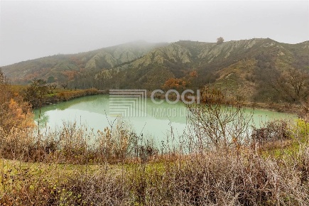 Foto Rustico in Via Ponticelli Pieve, Imola Ponticelli di 457 m² in vendita