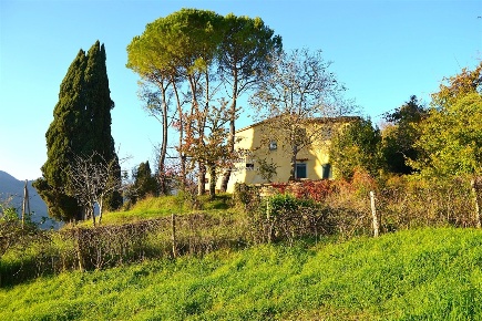Foto Rustico in Via di Montepoli, Scarperia e San Piero di 360 m²