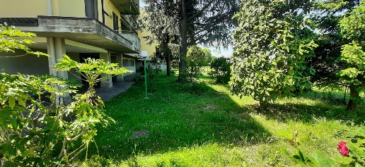 immagine annuncio 1 di 7