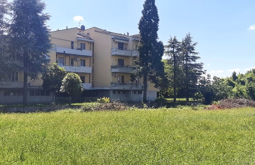 immagine annuncio 4 di 7