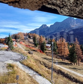 Foto Appartamento in Via Case Sparse del Tonale snc, Ponte di Legno