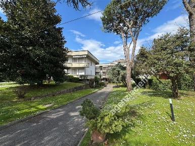 Foto Appartamento a Massa Puliche di 90 m² con 4 locali in vendita