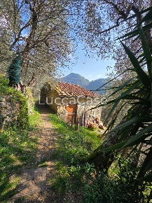 Foto Rustico a Camaiore di 31 m² con 4 locali in vendita