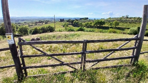 Foto Terreno agricolo a Trequanda di 20000 m² in vendita