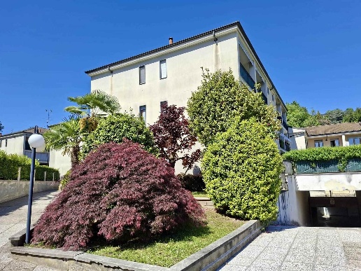 immagine annuncio 1 di 14